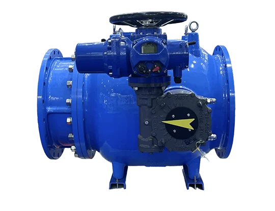 Quomodo perscriptio Valvae Vere praeveni aqua Malleolum in Limbis System?